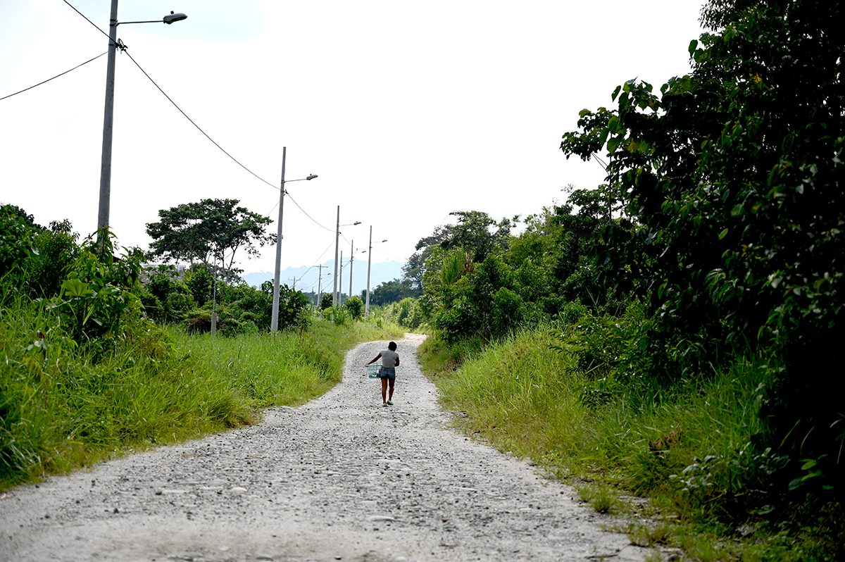 OBRAS DE ELECTRIFICACIÓN RURAL PARA LAS COMUNIDADES PITACOCHA, SACHA YACU, SAN VIRGILIO Y ATACAPI DEL CANTÓN ARAJUNO  PASTAZA